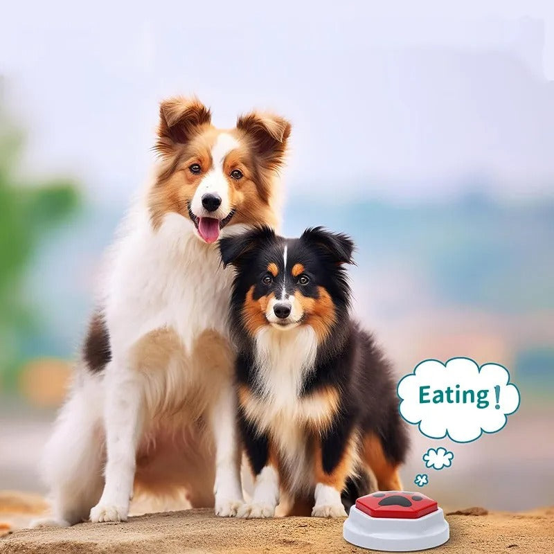 Recordable Dog Talking Button Interactive Voice Toy for Pet Training