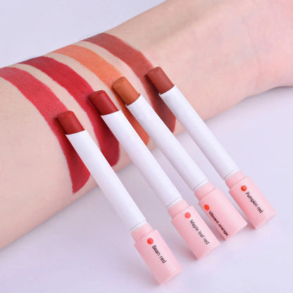 4 Colors Lipstick Set Matte Waterproof Long Lasting Lip Tint Gloss Kit