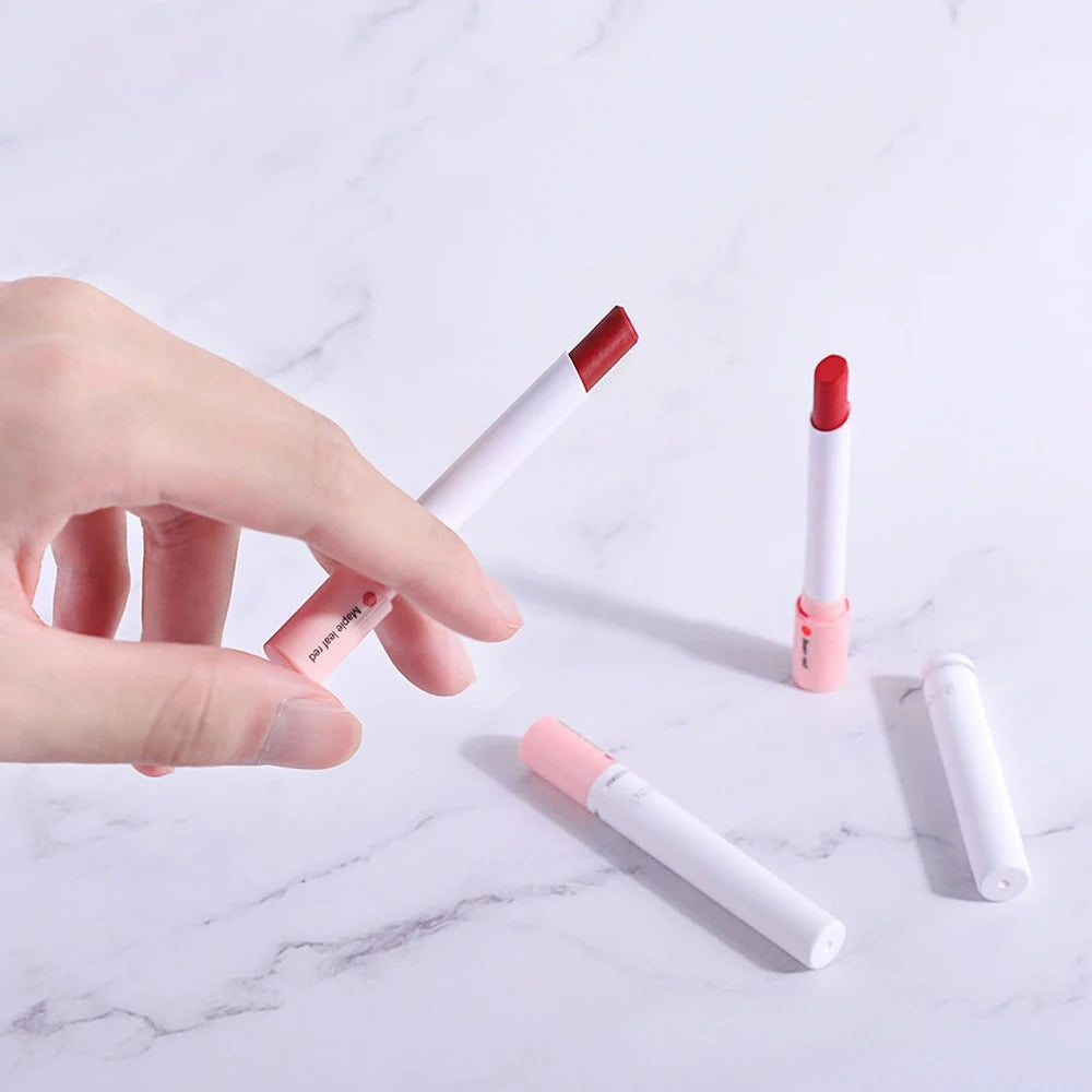 4 Colors Lipstick Set Matte Waterproof Long Lasting Lip Tint Gloss Kit