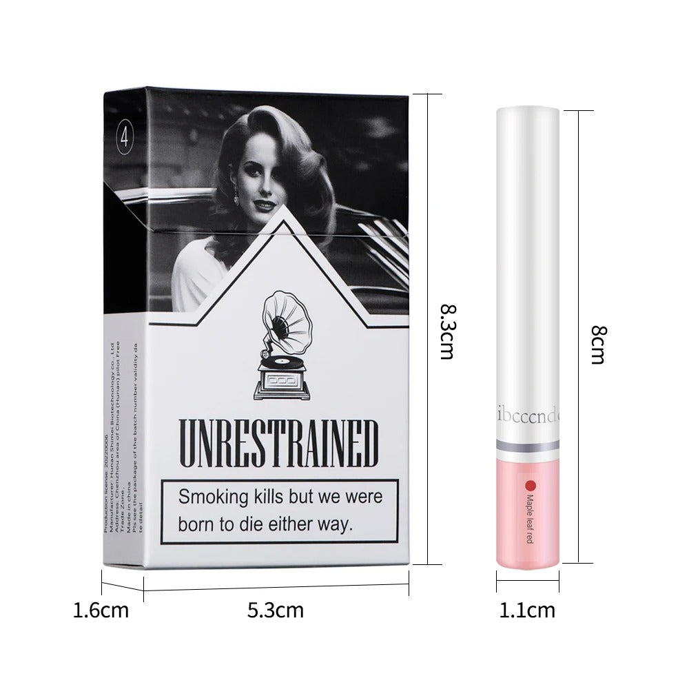 4 Colors Lipstick Set Matte Waterproof Long Lasting Lip Tint Gloss Kit